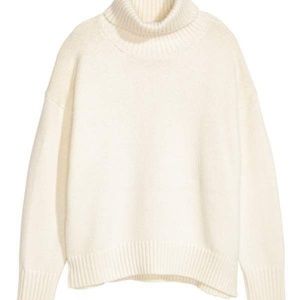 H&M Knit Turtleneck Sweater